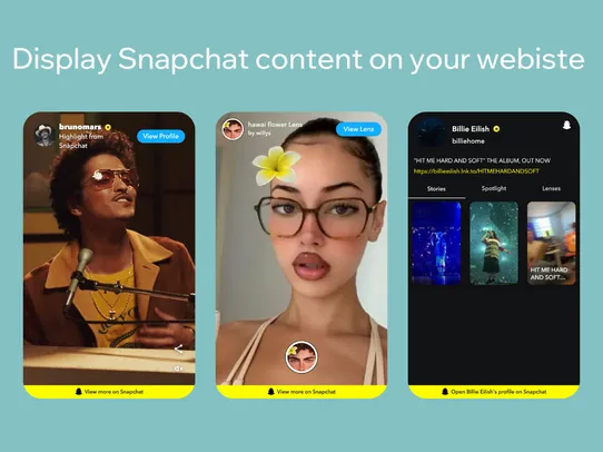 Snapchat Embed screenshot
