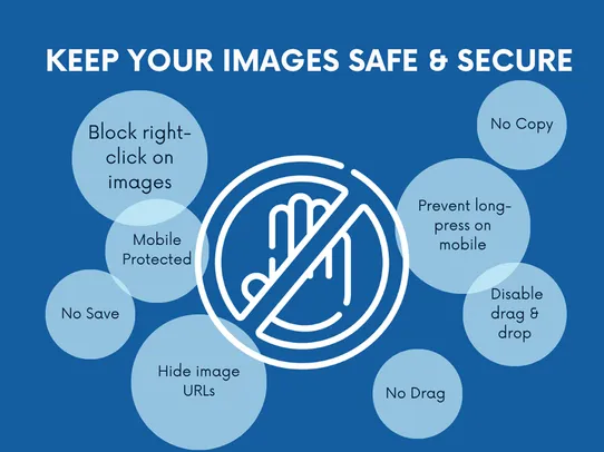 Site Protection: Anti Theft screenshot