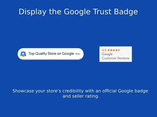 Google Customer Reviews screenshot