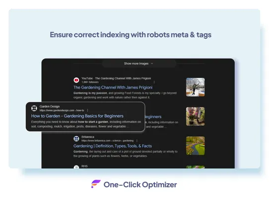 One-Click SEO Fixer screenshot