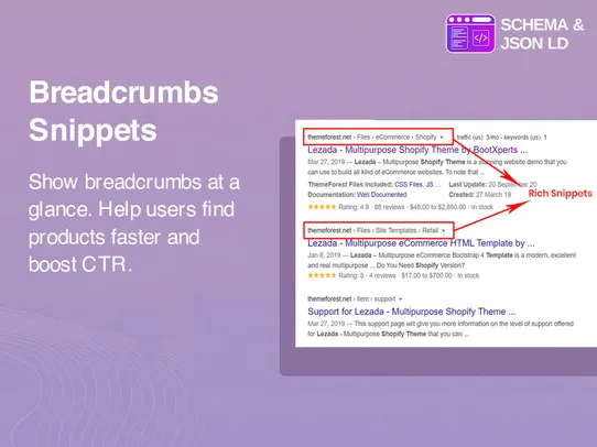 JSON LD Schema screenshot