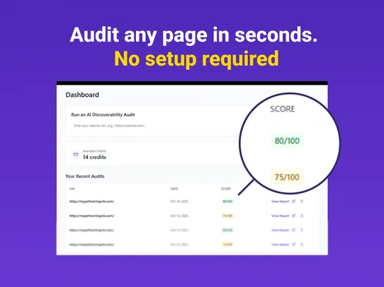 AI Discoverability Audit screenshot