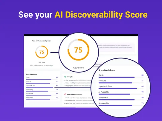 AI Discoverability Audit screenshot