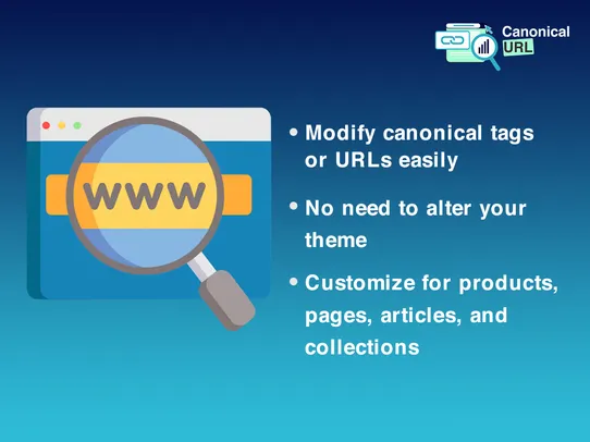 Canonical Tag URL for SEO screenshot