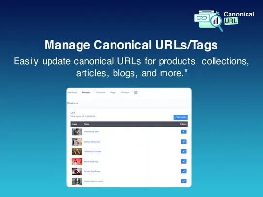 Canonical Tag URL for SEO screenshot