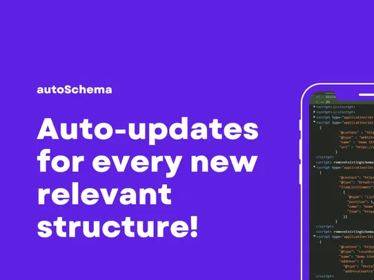 autoSchema | Google SEO Schema screenshot