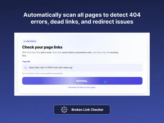 Broken Links Checker screenshot