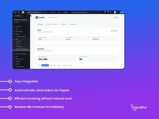 Peppol e-Invoicing Integration screenshot