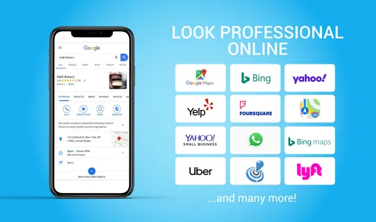Site Booster screenshot
