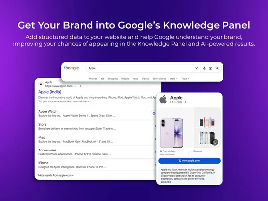 Schema | Google SEO (JSON-LD) screenshot