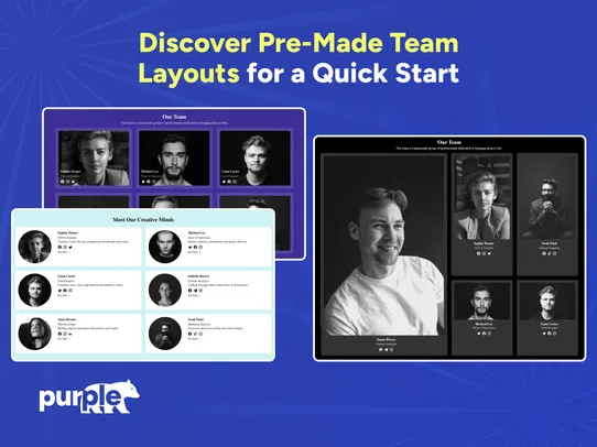 Team Profiles screenshot