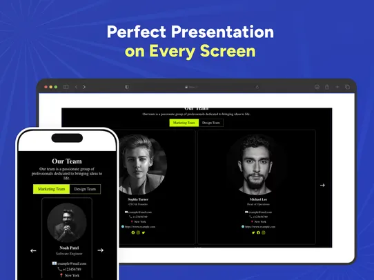Team Profiles screenshot