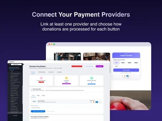 Donation Payment Button screenshot