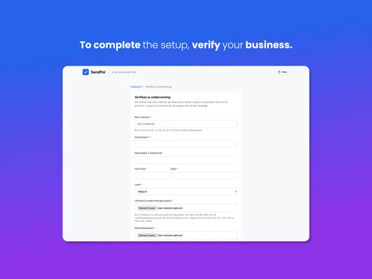 Peppol e-Invoicing Integration screenshot