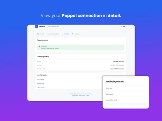 Peppol e-Invoicing Integration screenshot