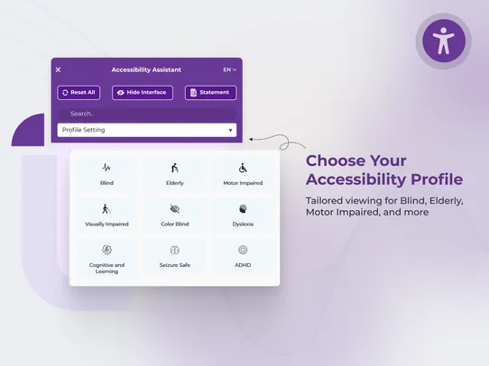 ADA WCAG Accessibility Widget screenshot