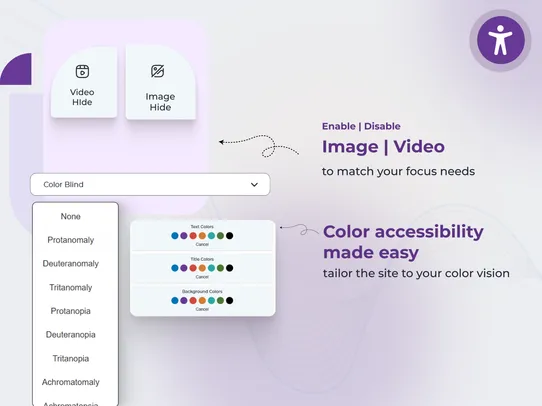 ADA WCAG Accessibility Widget screenshot