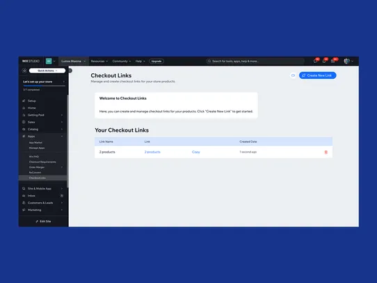 Checkout Links screenshot
